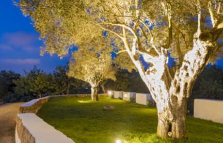 AGR CTXMUE 03 - LeibTour: TOP aparthotels in Ibiza