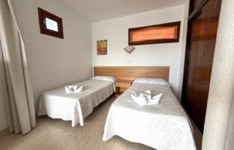 APRYPRTX 01 Twin Bedroom - LeibTour: TOP aparthotels in Ibiza