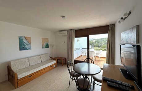 APRYPRTX 03 Living Room TV - LeibTour: TOP aparthotels in Ibiza