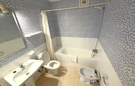 APRYPRTX 11 Bathroom Tub Bidet - LeibTour: TOP aparthotels in Ibiza