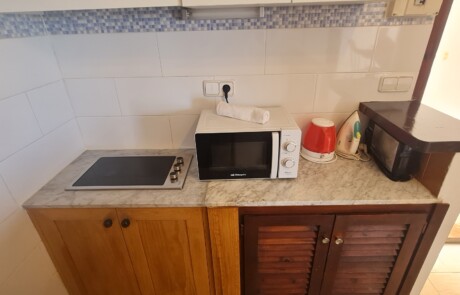 APRYPRTX 1bd 1 - LeibTour: TOP aparthotels in Ibiza
