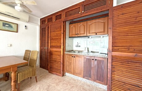 APRYPRTX 36 Kitchenette Wood Wide - LeibTour: TOP aparthotels in Ibiza