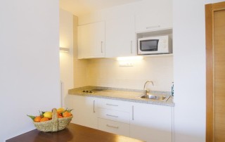 Beautiful quiet apartment Santa eulalia by the sea bonllap kitchen 1 - LeibTour: TOP aparthotels in Ibiza