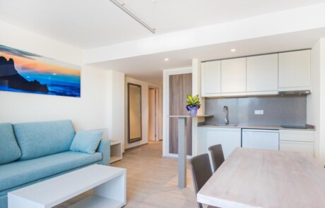 Central bright and lovely apartment up to 3 guests LSANAPSA Living room2 - LeibTour: TOP aparthotels in Ibiza