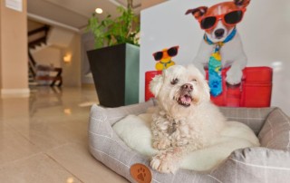 Central cheap Hotel with terrace SANTA EULALIA htl seazme Pets Allowed - LeibTour: TOP aparthotels in Ibiza