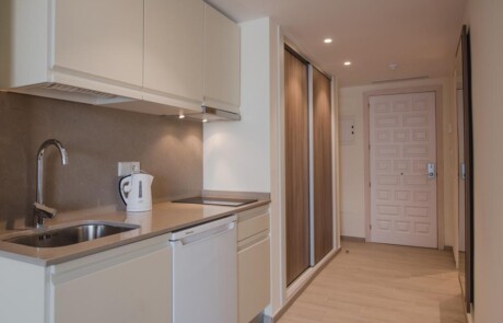 Copia di Central bright and lovely apartment up to 3 guests LSANAPSA Kitchen2 - LeibTour: TOP aparthotels in Ibiza