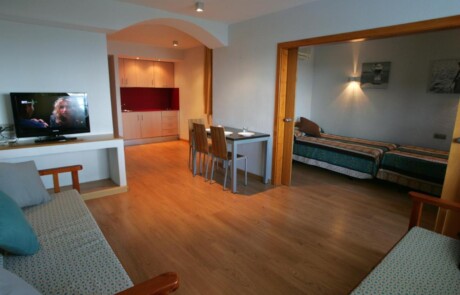 Crazy Party apartment Playa den Bossa IBJTAPT 9 2 - LeibTour: TOP aparthotels in Ibiza