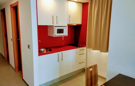 Crazy Party apartment Playa den Bossa IBJTAPT Kitchen 2 - LeibTour: TOP aparthotels in Ibiza