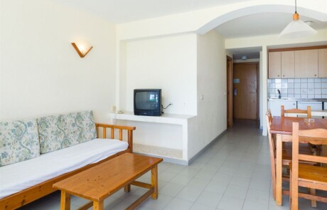 Crazy Party apartment Playa den Bossa IBJTAPT Living room2 1 - LeibTour: TOP aparthotels in Ibiza