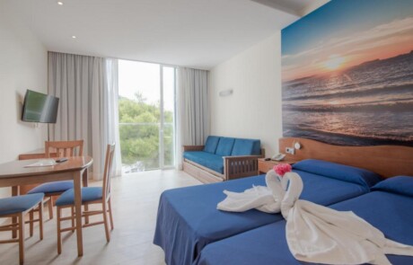 ELPICLLO 31 1 - LeibTour: TOP aparthotels in Ibiza