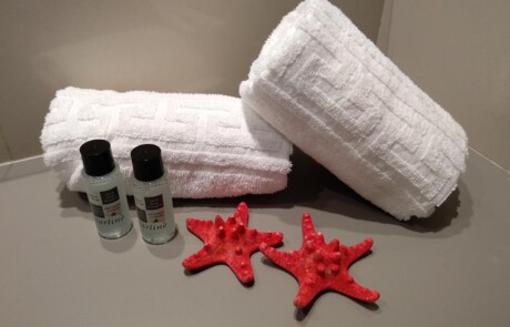 Elegant large apartment with pool NERAPSA Bathroom detail - LeibTour: TOP aparthotels in Ibiza