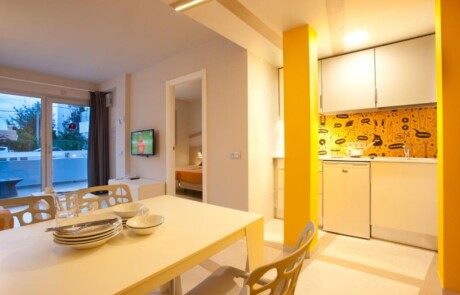 RYDOWNIB 12 - LeibTour: TOP aparthotels in Ibiza