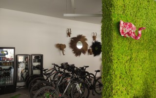 SDSTUBZ bikes 1 - LeibTour: TOP aparthotels in Ibiza