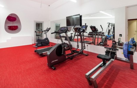 SDSTUBZ gym 3 - LeibTour: TOP aparthotels in Ibiza