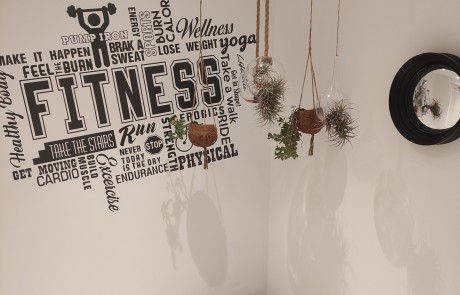 SDSTUBZ gym 4 - LeibTour: TOP aparthotels in Ibiza