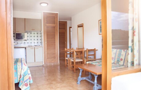 SMUGPAR AF6 6 - LeibTour: TOP aparthotels in Ibiza