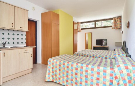 SMUGPAR E3B 2 - LeibTour: TOP aparthotels in Ibiza