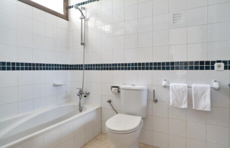 SMUGPAR E3B 4 - LeibTour: TOP aparthotels in Ibiza