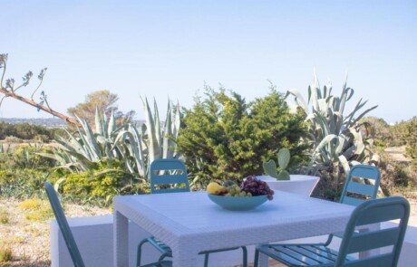 SNCLSFOR 2 Bedrooms 16 - LeibTour: TOP aparthotels in Ibiza