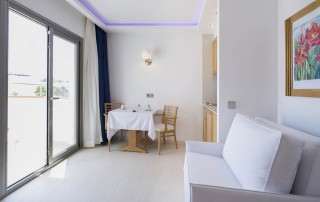 Stunning apartment with pool BONMYBOS Living room2 1 - LeibTour: TOP aparthotels in Ibiza