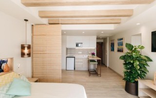 WHAPFESA Studio Premium Sea View 2 - LeibTour: TOP aparthotels in Ibiza