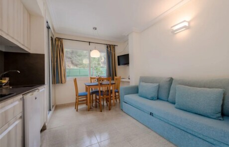 studio no terrace elpicllo - LeibTour: TOP aparthotels in Ibiza