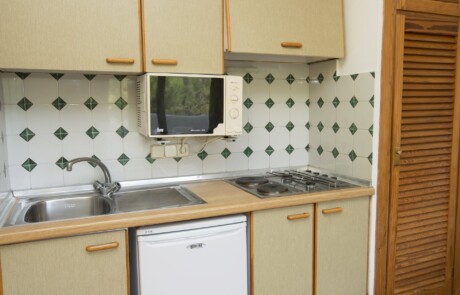 studio standard SMUGPAR 2 1 - LeibTour: TOP aparthotels in Ibiza