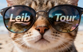 tramsan ai cover cat - LeibTour: TOP aparthotels in Ibiza